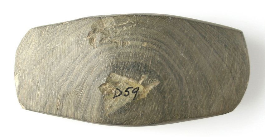 3" Expanded Center Gorget Preform: Banded slate example. No holes. Found by Viona Elwood at Scioto River Bridge at Foraker - Ohio Ex - Russell Long Collection D59
