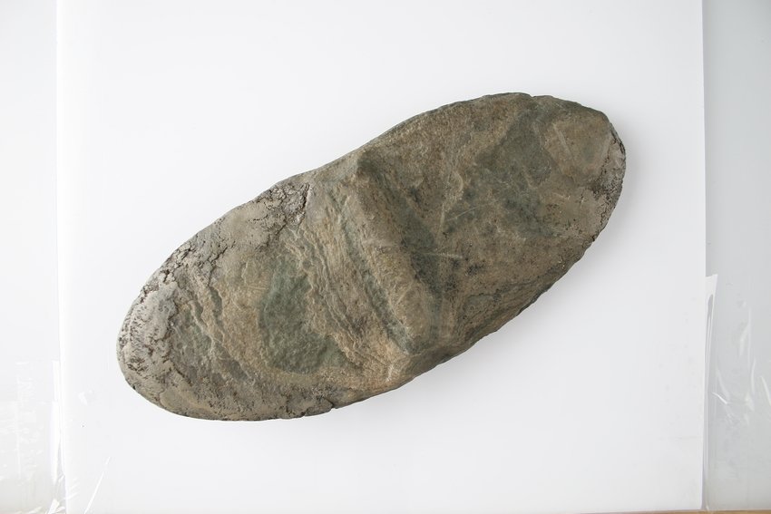 MASSIVE 3 7/8"x9 3/8" Winged Bannerstone Preform: Restoration present to portions of both wings. Banded Slate. Nice study example and impressive in a case. A gift from Carl Nelson a fellow teacher at Miami [oxford ohio] found by him in a drainage dit