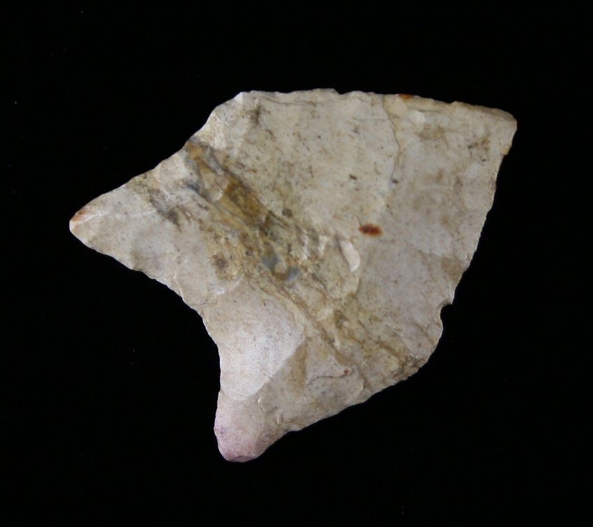 1 1/4" Pelican: Fossil chert example. Nice! Found north of Burkeville, Texas Ex - Russell Long Collection T43/808