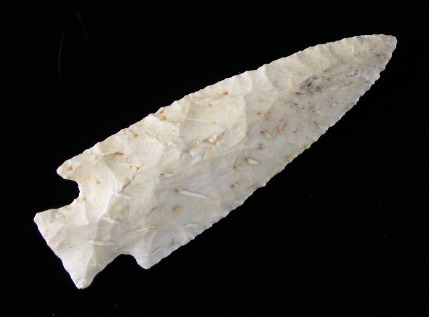 3 1/2" Ponchartrain: Petrified Palmwood example with great bright look to it. Found on Smith Point East side near Dam B. in Texas Ex - Russell Long Collection T152/451