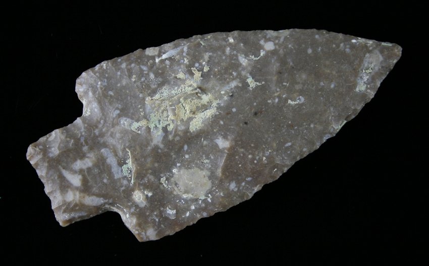 3 1/4" Lange: Pretty fossil laden chert. Found near Rush Creek in Texas Ex - Russell Long Collection T169/3