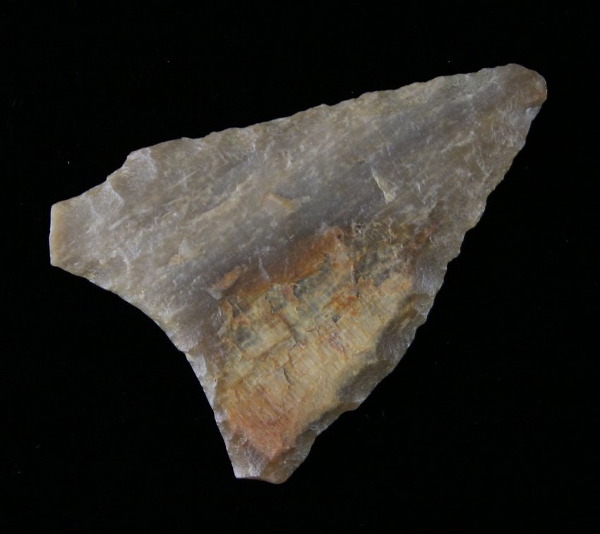 1 13/16" Dalton Kisatchie: Petrified Wood. Found near the Sam Raybum Site in Texas - 1965 Ex - Russell Long Collection T66/650