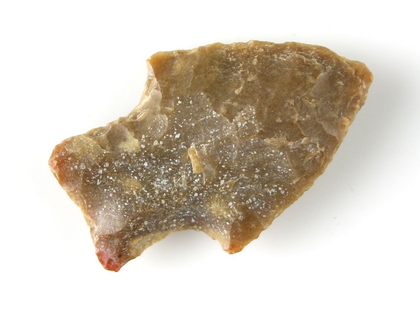 1 5/8" Williams: High Grade Fossil chert. Found in Heskell County, Texas Ex - Russell Long Collection T10/219