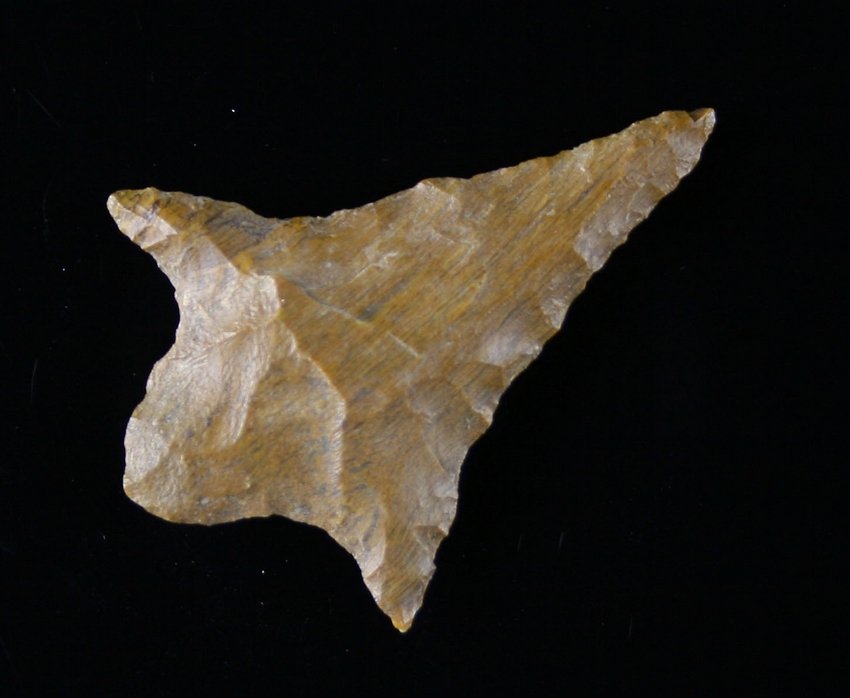 1 5/8" Gary: Petrified Wood. Found near Buck Creek on Hemphill Rd. in Texas Ex - Russell Long Collection T133/155