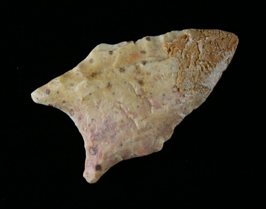 1 5/8" San Patrice *RESTORED: Petrified wood. Found by John Guy - Louisiana Ex - Russell Long Collection L40/91