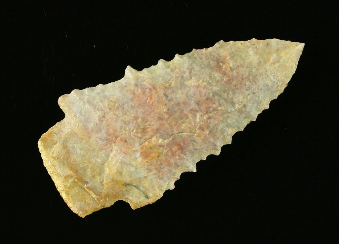 2 1/2" Kirk Serrated: Needle needle tip on this fossiliferous chert example from Ross CO., Ohio. Ex - Hertdner and Art Heaton Collections.