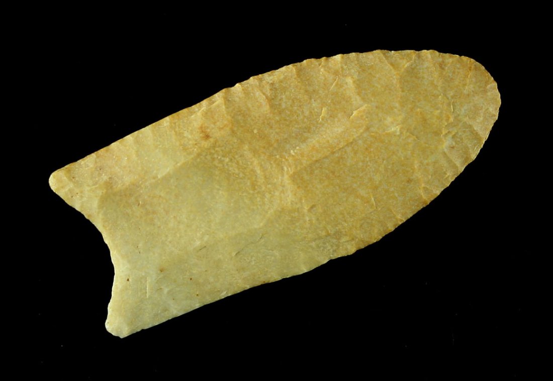 2 3/8" Clovis: Fossil chert example from Ohio.