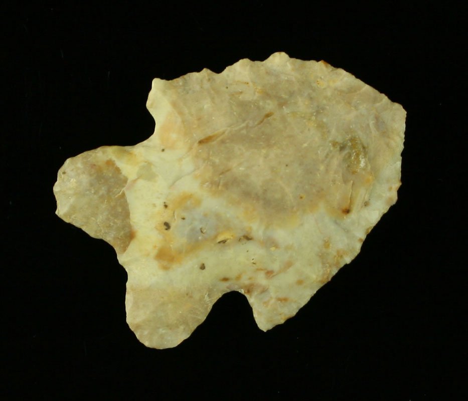 1 7/8" MacCorkle: Fossil chert example from Ohio. Ex Art Heaton Collection.