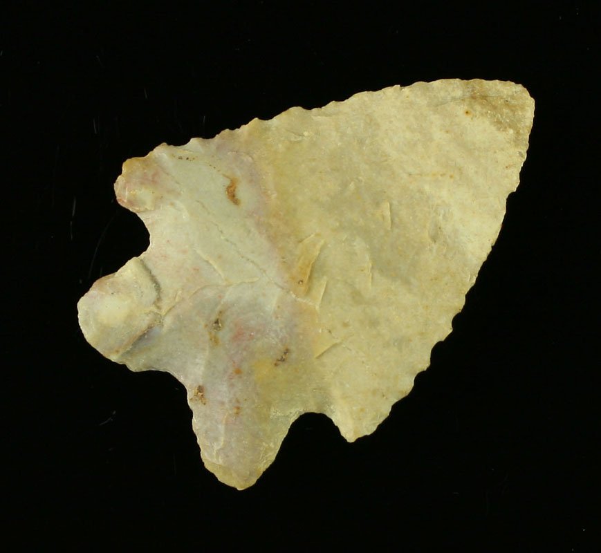 2" MacCorkle: Fossil chert. Kentucky. Ex - Art Heaton Collection.