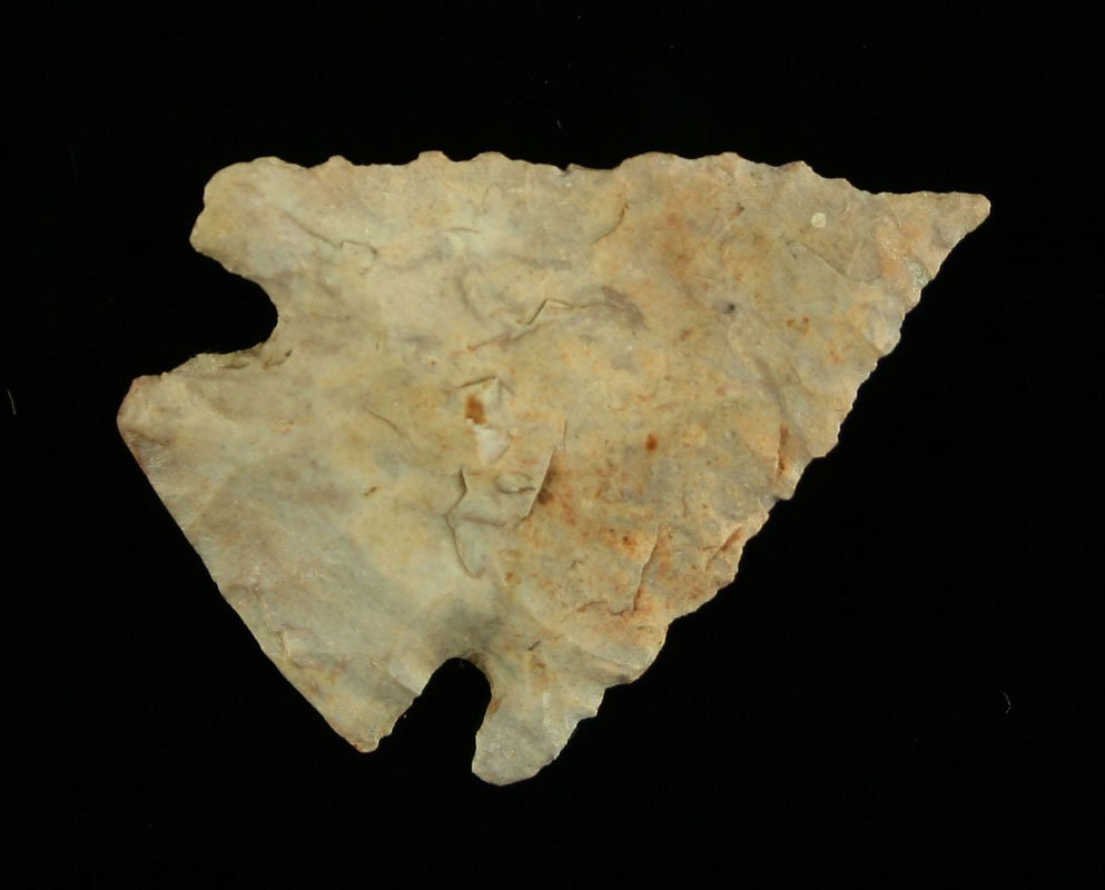 1 11/16" Pinetree: Madison Co., Kentucky example in Boyle Chert. Nice with serrations.