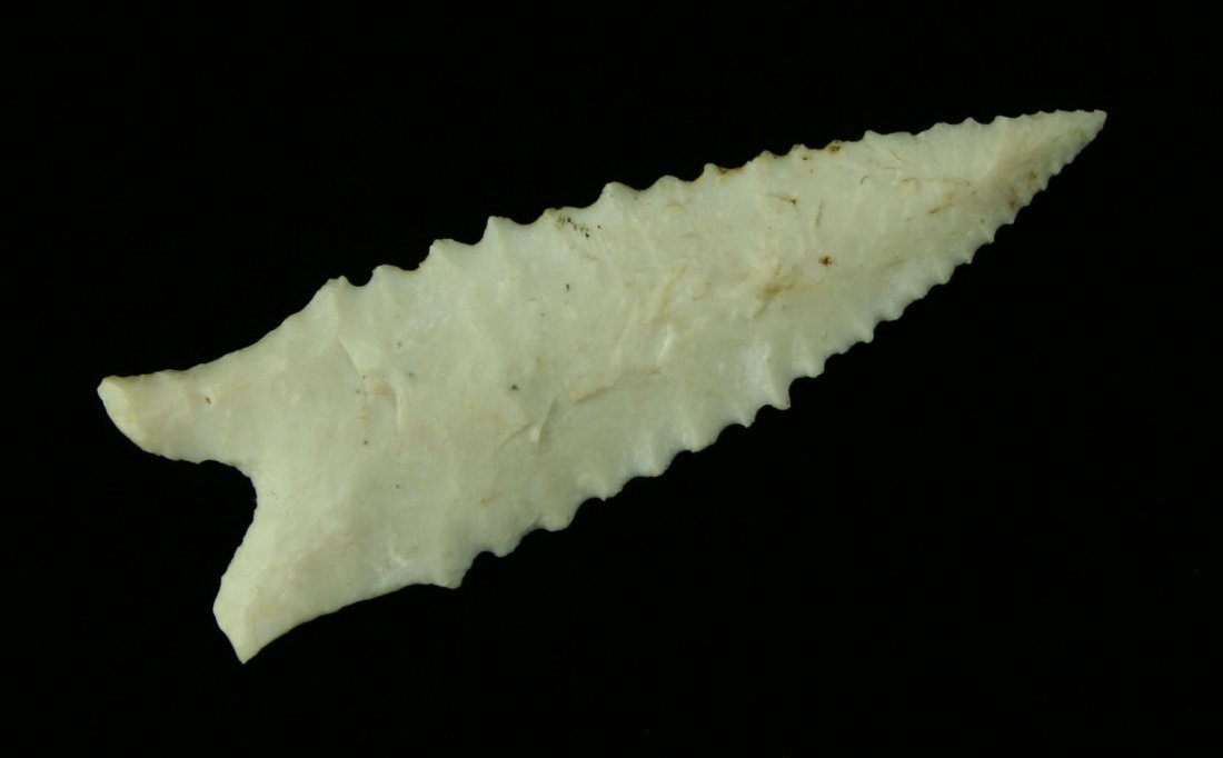 Killer 2 13/16" Dalton - Ex- Roy Hathcock Collection -: Superb craftsmanship. Heavily serrated and super thin. High quality highly translucent Burlington chert. Found by Rolland Schumate in 1990 in Cedar County, Missouri._x000D_ Ex- Roy Hathcock Collection