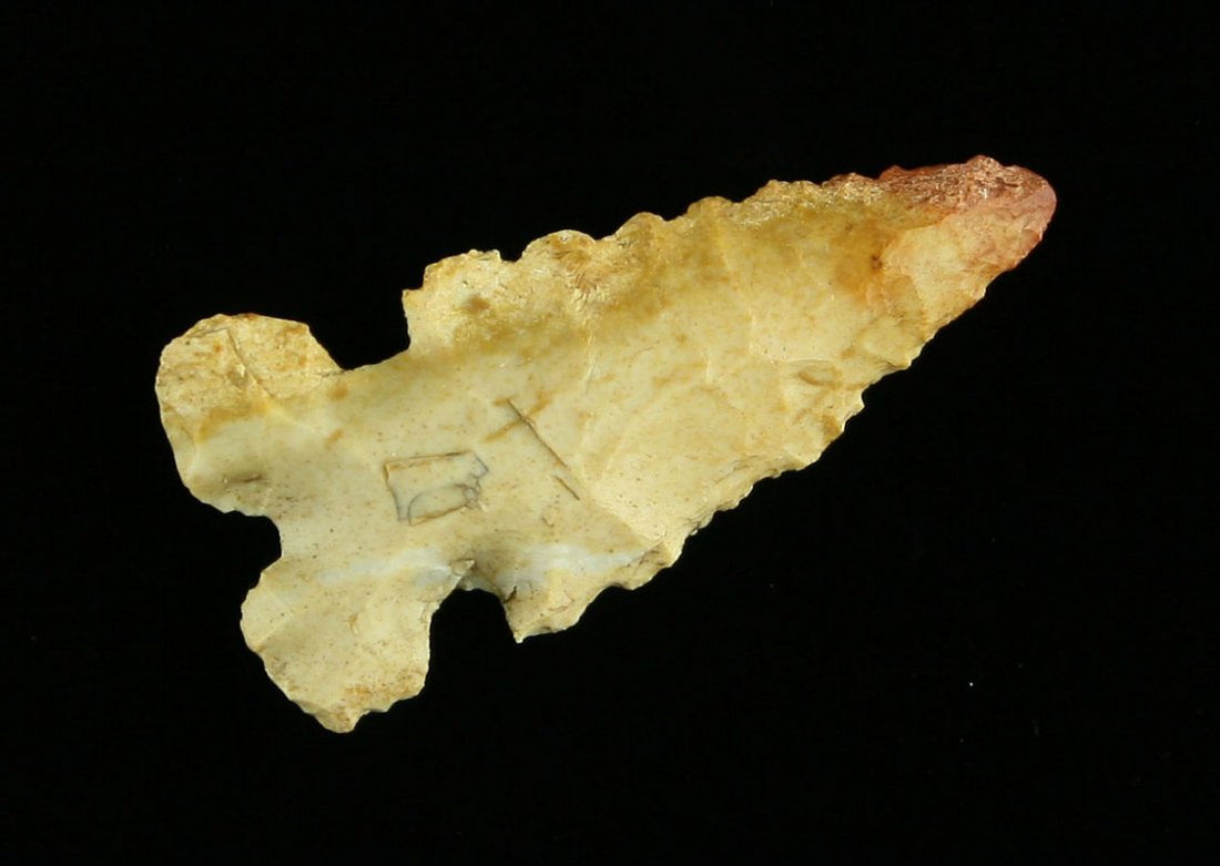 1 3/16" Cahokia - Partain COA: Burlington Chert example from Illinois. Partain COA.