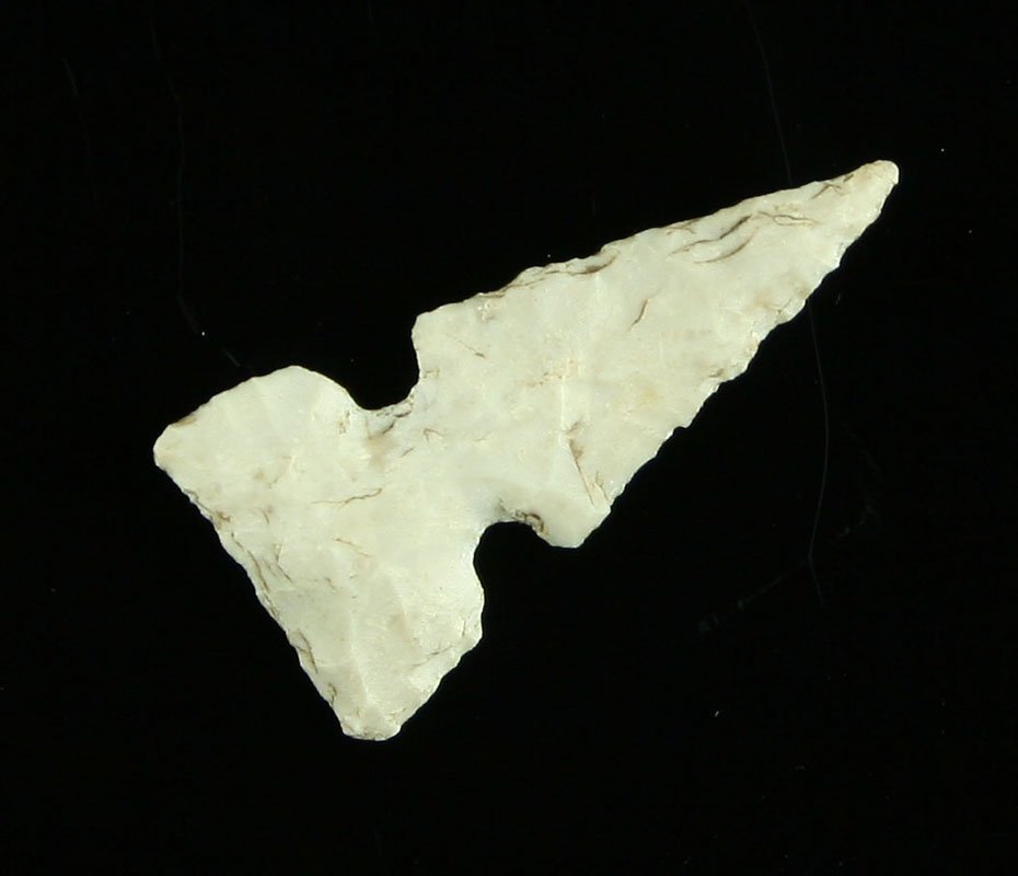 1" Cahokia - Partain COA: Burlington Chert example from Illinois.