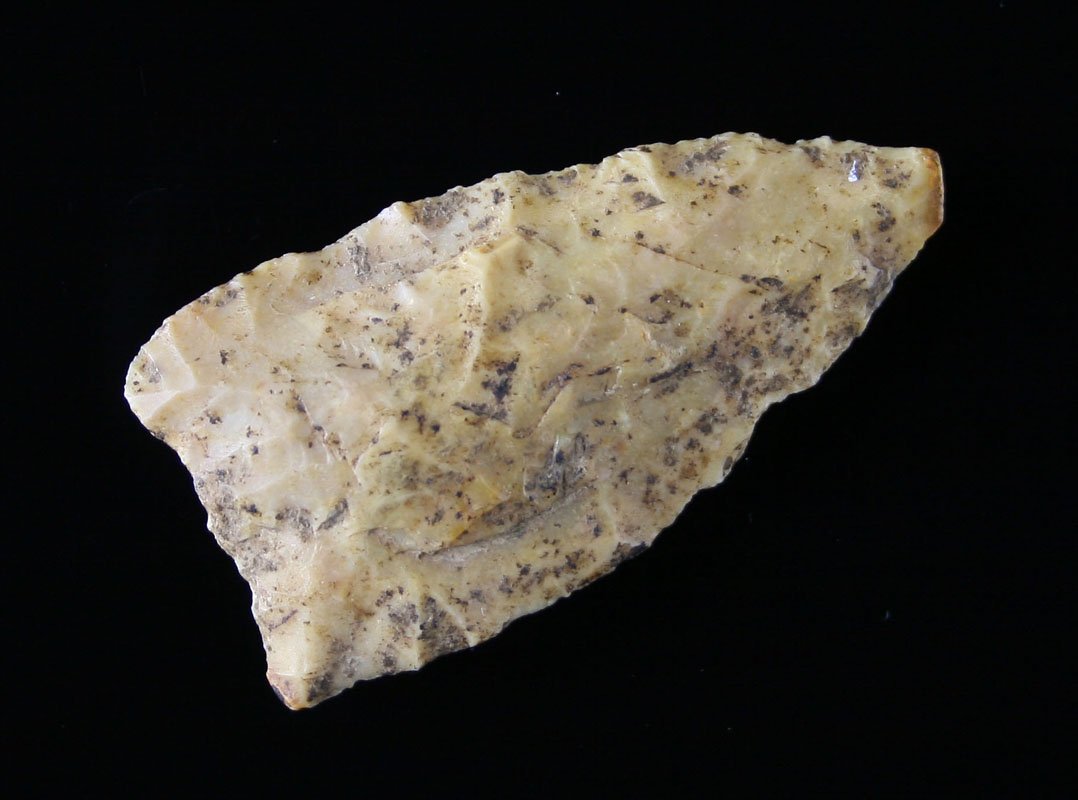 1 15/16" Plainview - Bennett COA: Tan Chert. Reported as found in Western Nebraska near the Wyoming border. Bennett COA.