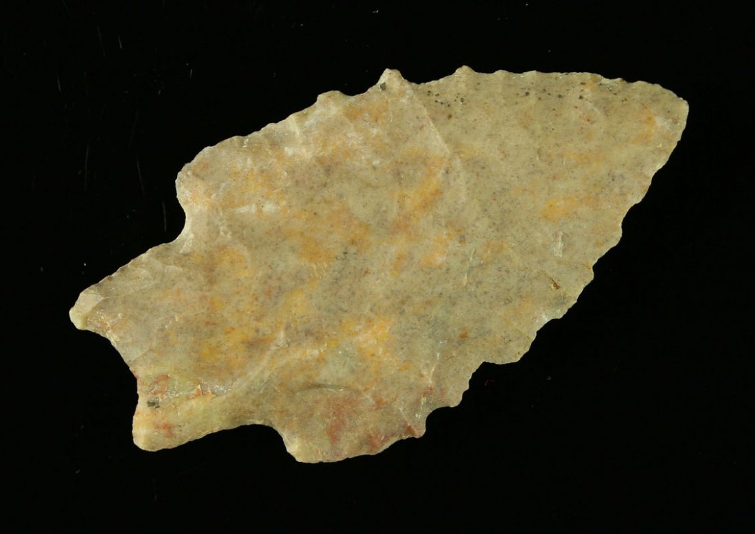 2 1/4" Kirk Serrated: Nicely made fossil chert example from Delaware Co., Ohio. Ex - Art Heaton Collection.