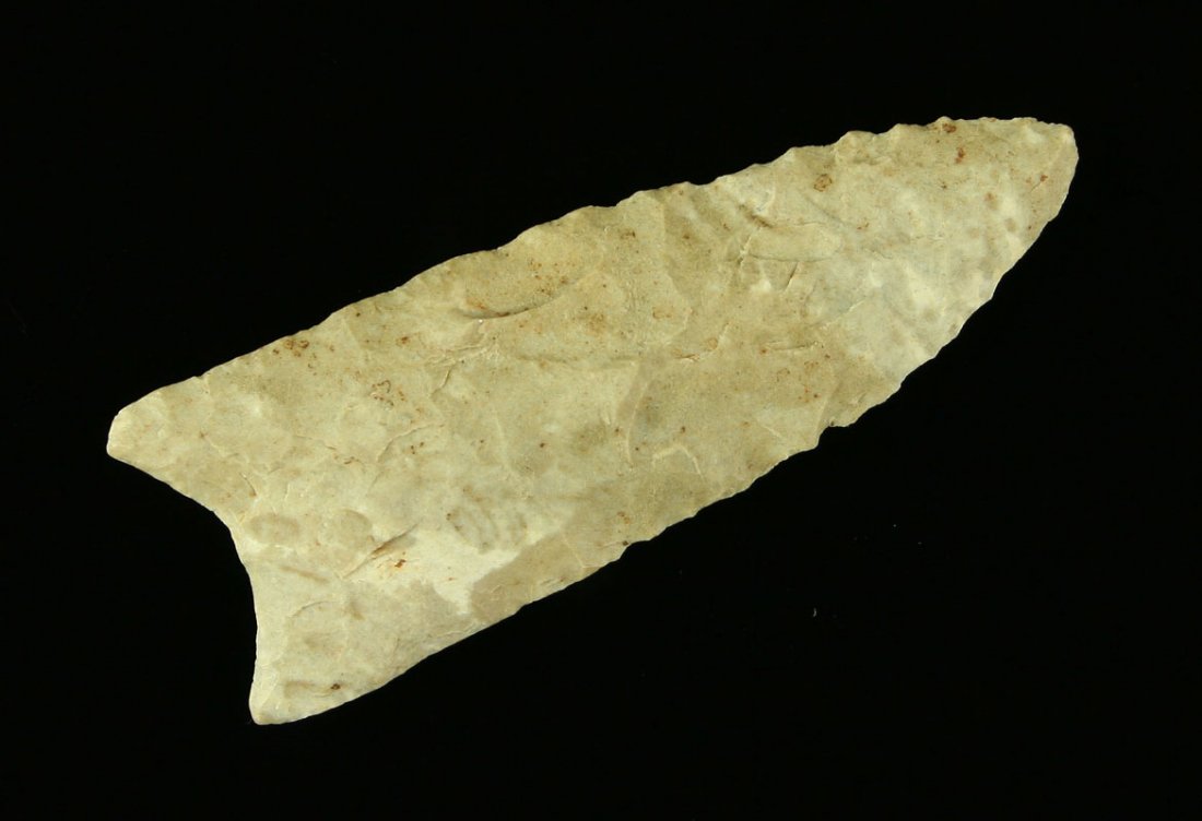 Outstanding 3" Indiana Dalton - Jackson COA: Thin and excellent. Many would say 'unfluted' Clovis. Pretty mocha and white Ft. Payne chert. Old Southern Indiana Collection. Jackson COA.