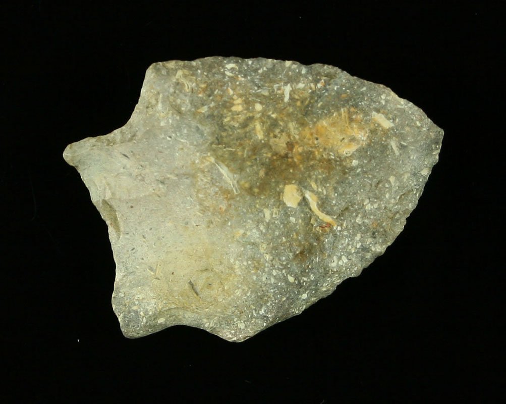 1 1/16" Atl-Atl Dart: Nicely made fossil chert piece from Ohio. Ex - Art Heaton Collection.