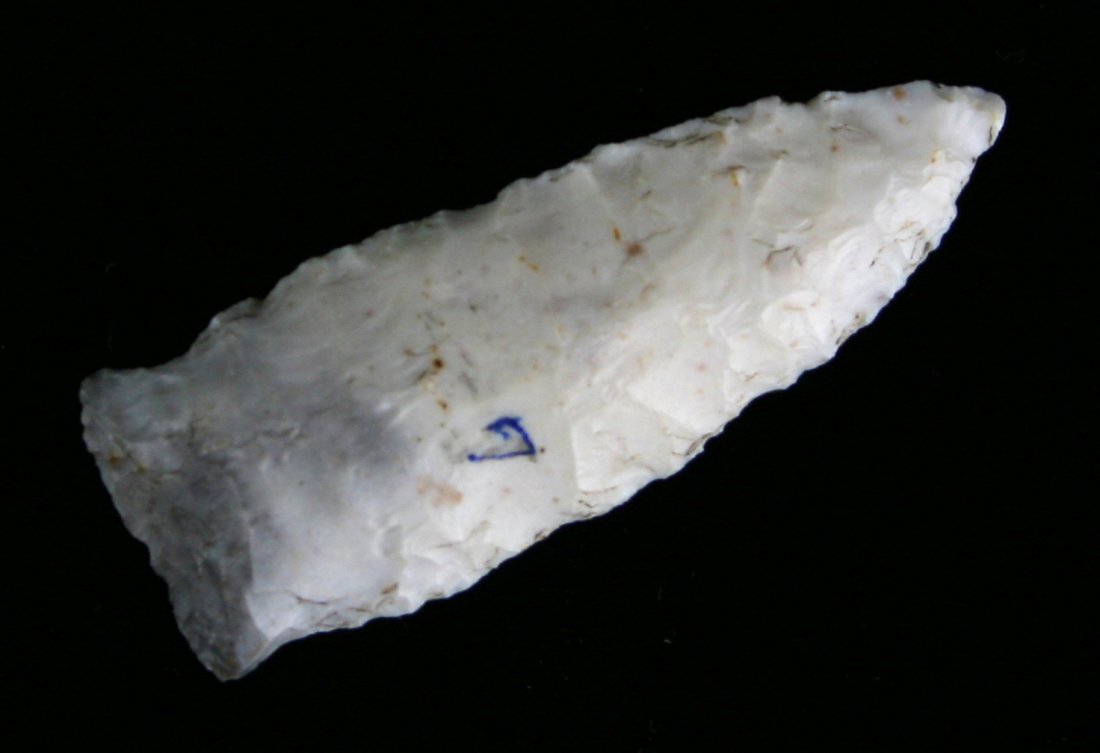 2" Matanzas - Partain COA: Cream fossil chert example from Illinois. Partain COA.