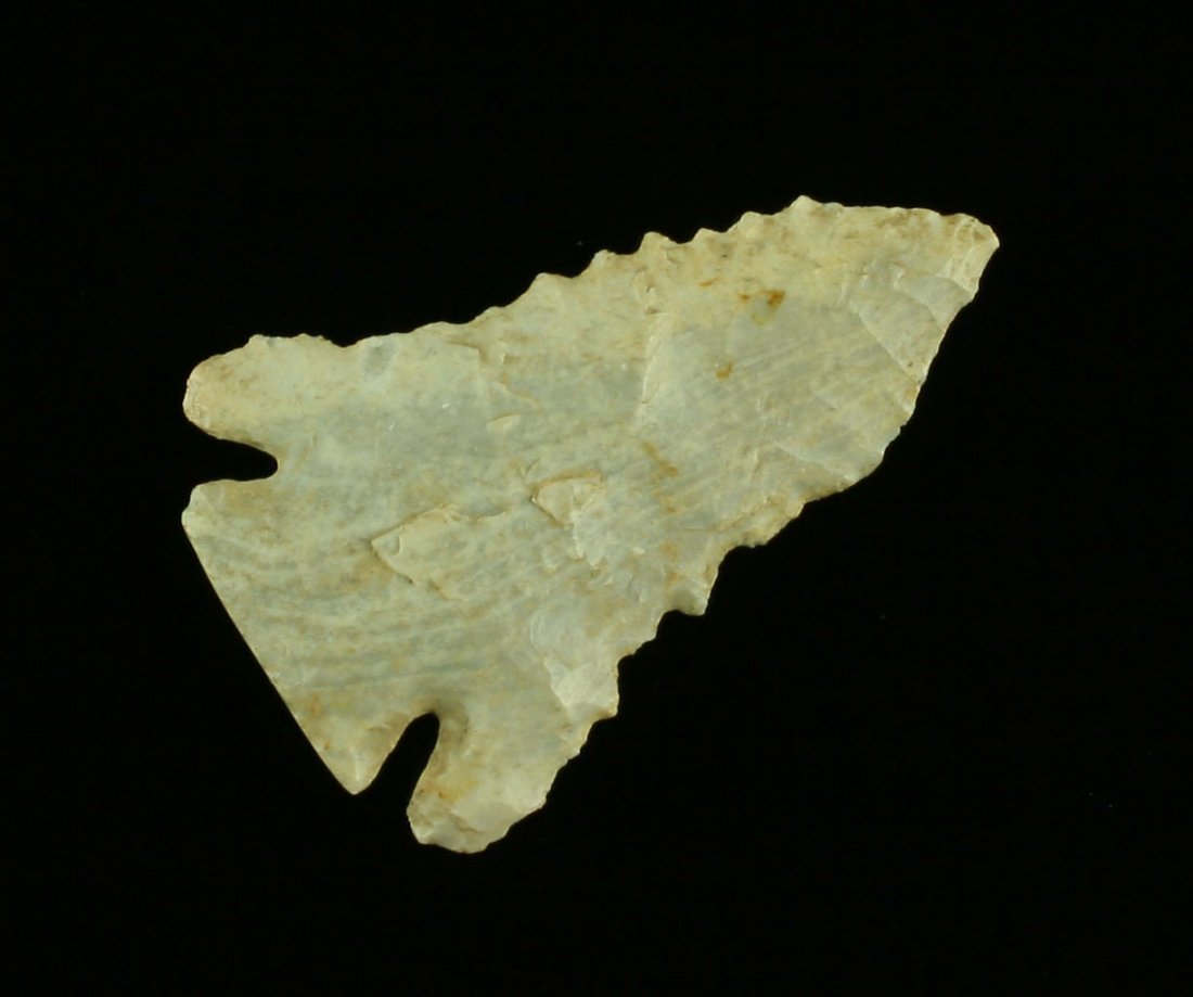 Outstanding KY Boyle Chert Pinetree: Super thin and extra pretty with lethal serrations and a heavily ground base. Well patinated with excellent mineral accumulation. Classic form and flaking. Found in Fayette Co., Kentucky.