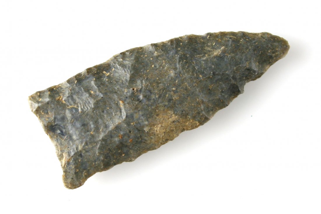 2 5/16" Copena: Blue-gray fossil chert example from Kentucky.