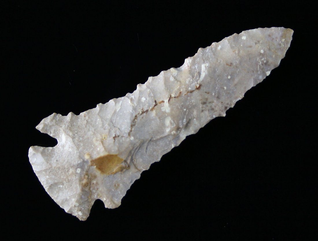 2 7/8" Pinetree - Partain COA: Purplish Boyle chert example from Kentucky. Nicely serrated! Partain COA.