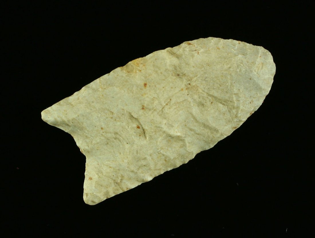 2 1/2" Clovis: High grade fossil chert with heavy Quartz content. Sparkles in the sunlight. Recovered in Western Nebraska.