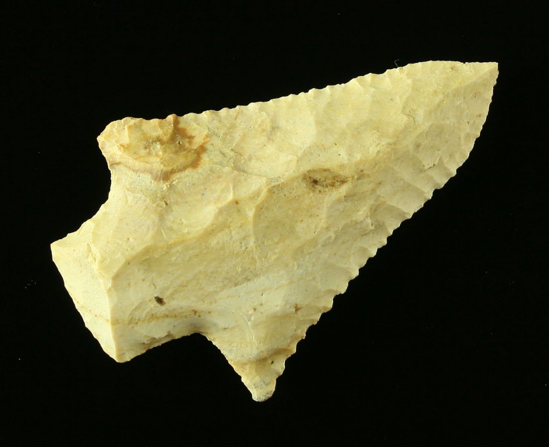 2 7/8" Six Mile Creek: Fossil Chert example from Florida. Ex - Dilego Collection.