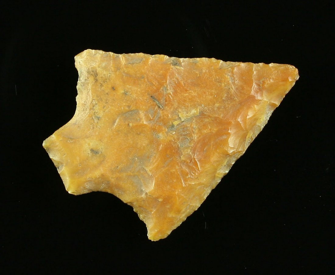 1 11/16" Hardee Beveled: Florida example. River stained chert. Ex - Dilego Collection.