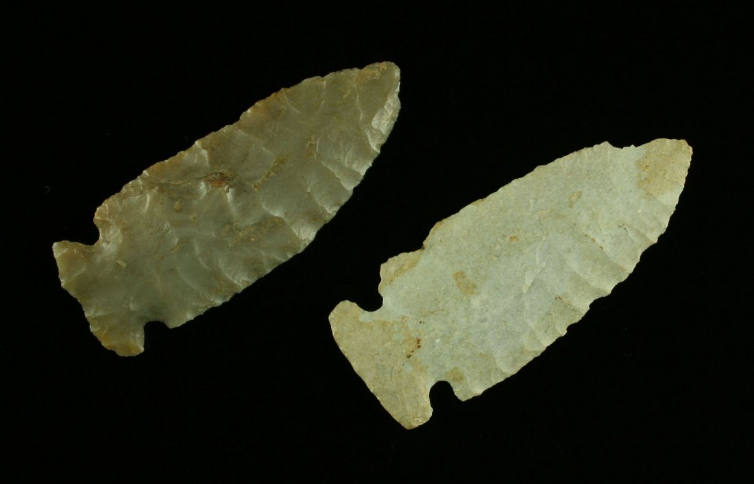 Matched Pair of Large Kentucky Big Sandy Points: Both measure right at 2 5/8". Found by Robert Johnson on 2-11-59 of Owingsville, KY, at Flint Fields, Montgomery Co., Kentucky. One Carter. One Fort Payne. Both thin and excellent.