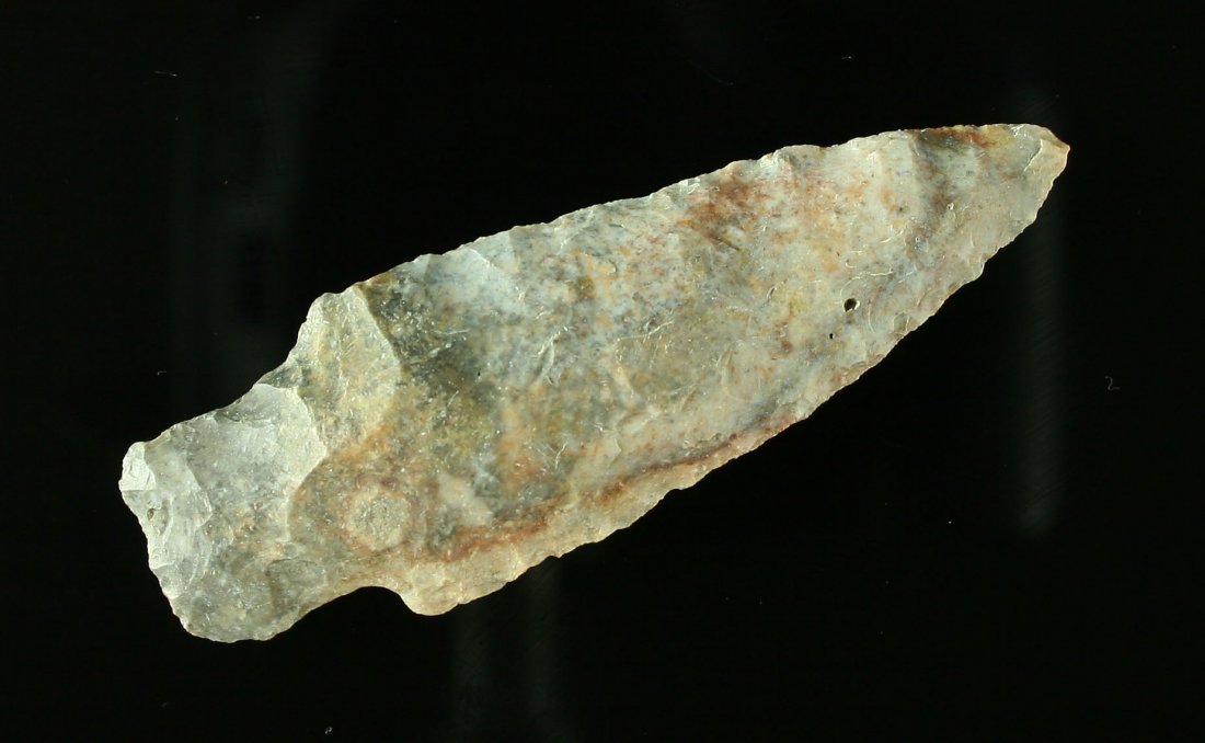 2 11/16" Stemmed Point: Nice fossil chert example.