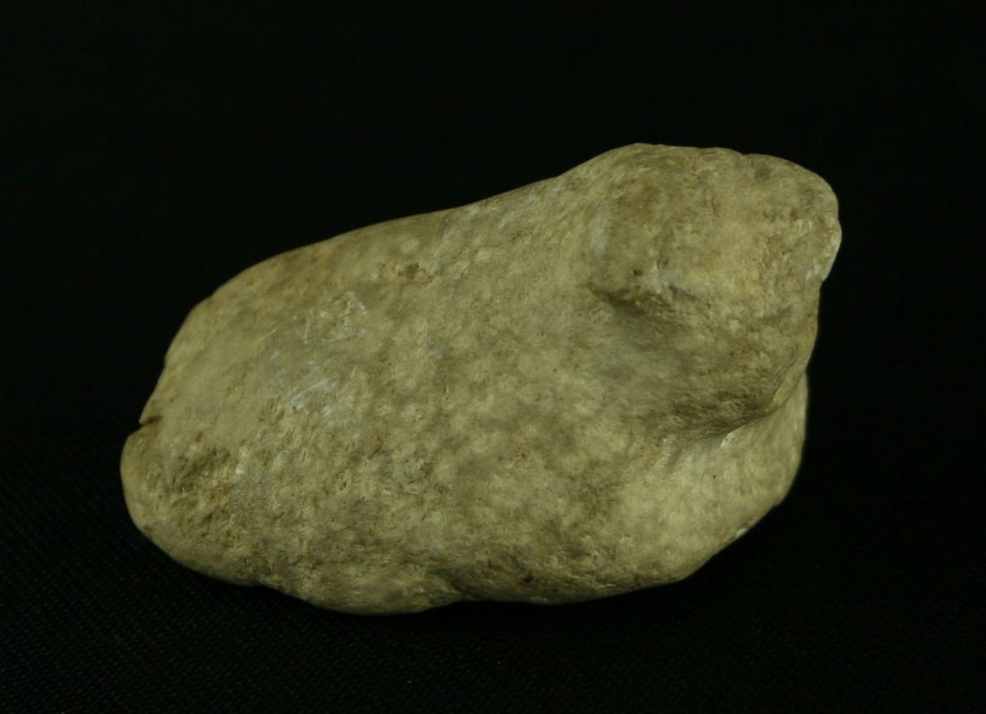 3" Undrilled Nesting Bust Birdstone - Bennett COA: Rare form. Good mineralization. Made of creamy colored Limestone. Found in Montgomery Co., Kentucky. Bennett COA.