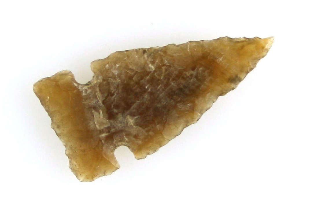 Super 1 1/8" Knife River Flint Cut Bank Jaw Notched: Thin, translucent, patinated, and perfectly symmetrical. Found in Montana.