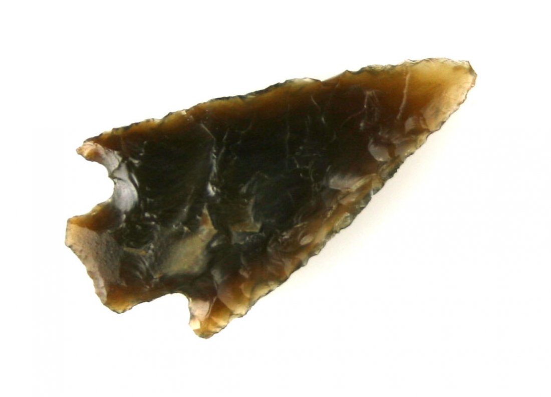 Beautiful 1 1/2" Petrified Wood Gatecliff: Highly translucent glossy root beer colored Petrified Wood from Jackson Co., Oregon. Great symmetry, form, and flaking. Ex- James Reed Collection.