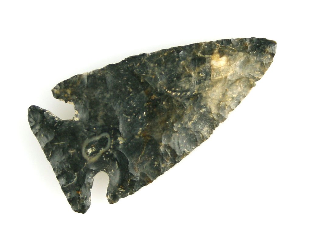 Killer 1 3/4" Coshocton Intrusive Mound: Perfect symmetry and very thin. Pretty blue Coshocton with some browns and creams. Hancock Co., Ohio. Ex- Everhart Collection.