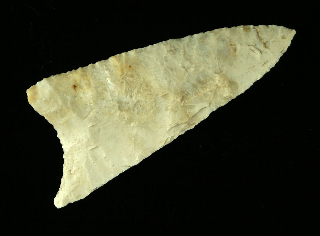 Nice Completely Intact 2 9/16" Texas Darl Blade: Slightly asymmetrical in the base but wafer thin and really nice. Found by John Koehler in Central Texas in the 1940's and 50's.