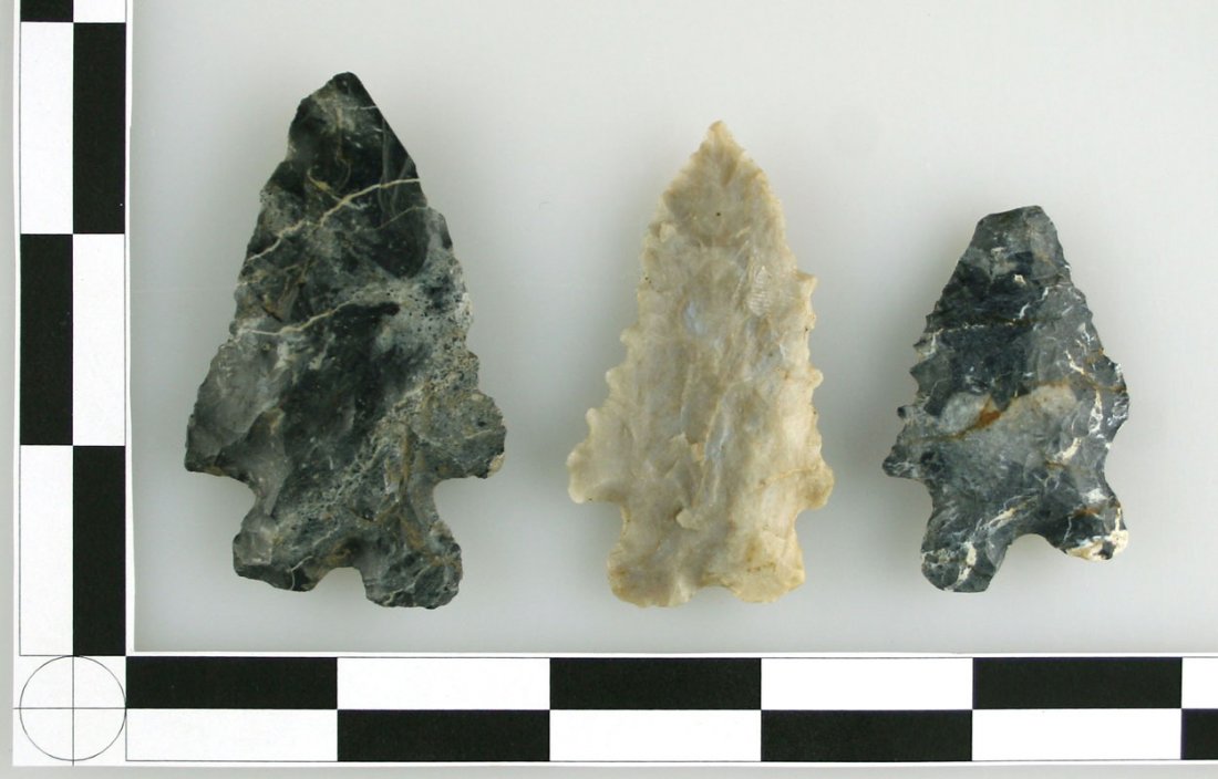 3 Nice Ohio Bifurcates: Coshocton and Flint Ridge material represented.. Longest 2 1/1" Ex - Fred Meyer Collection.