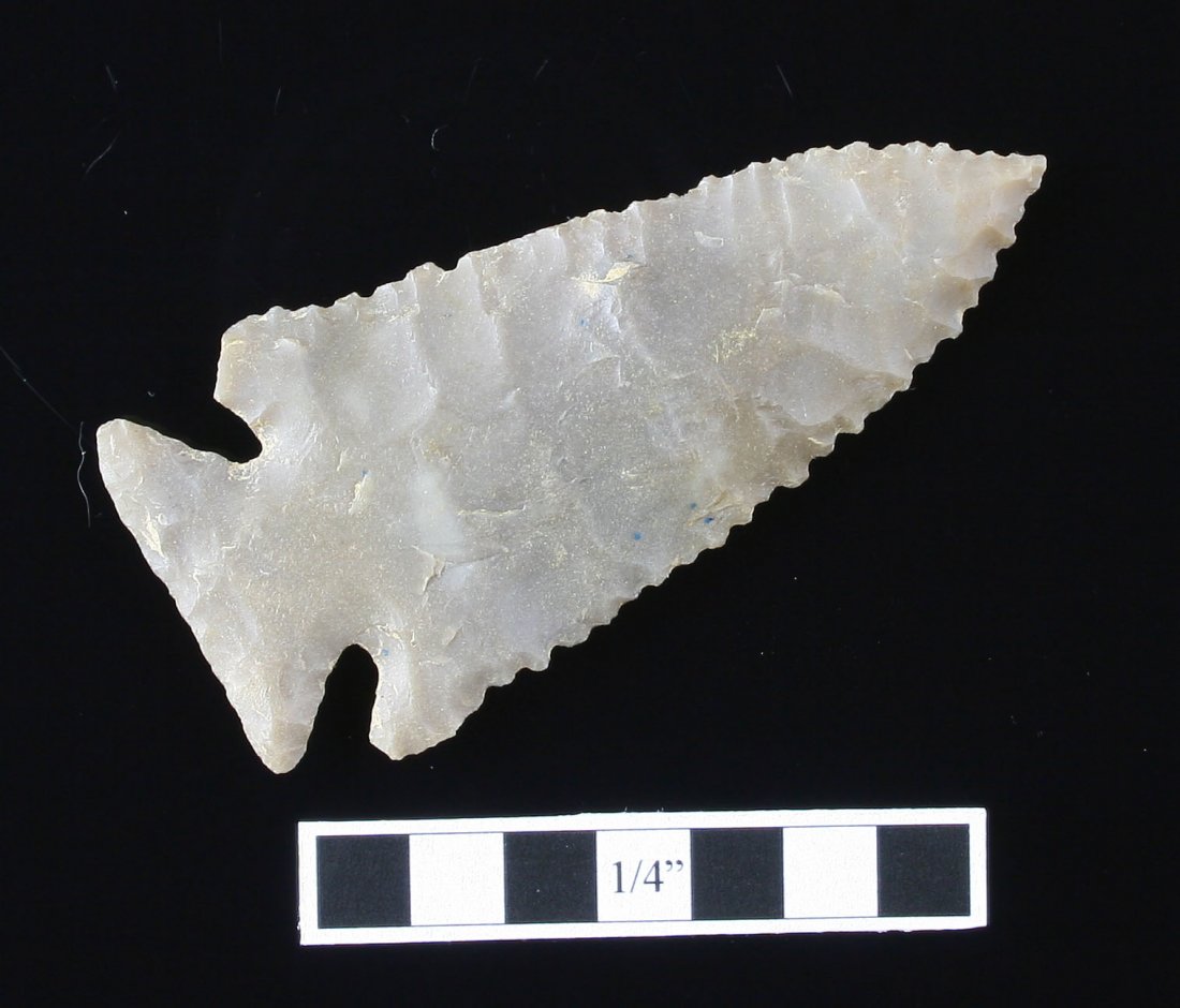 2 5/8" Pinetree: Nice serrated example from Carter Co., Kentucky found by Kenneth Broughton! Carter Cave flint.