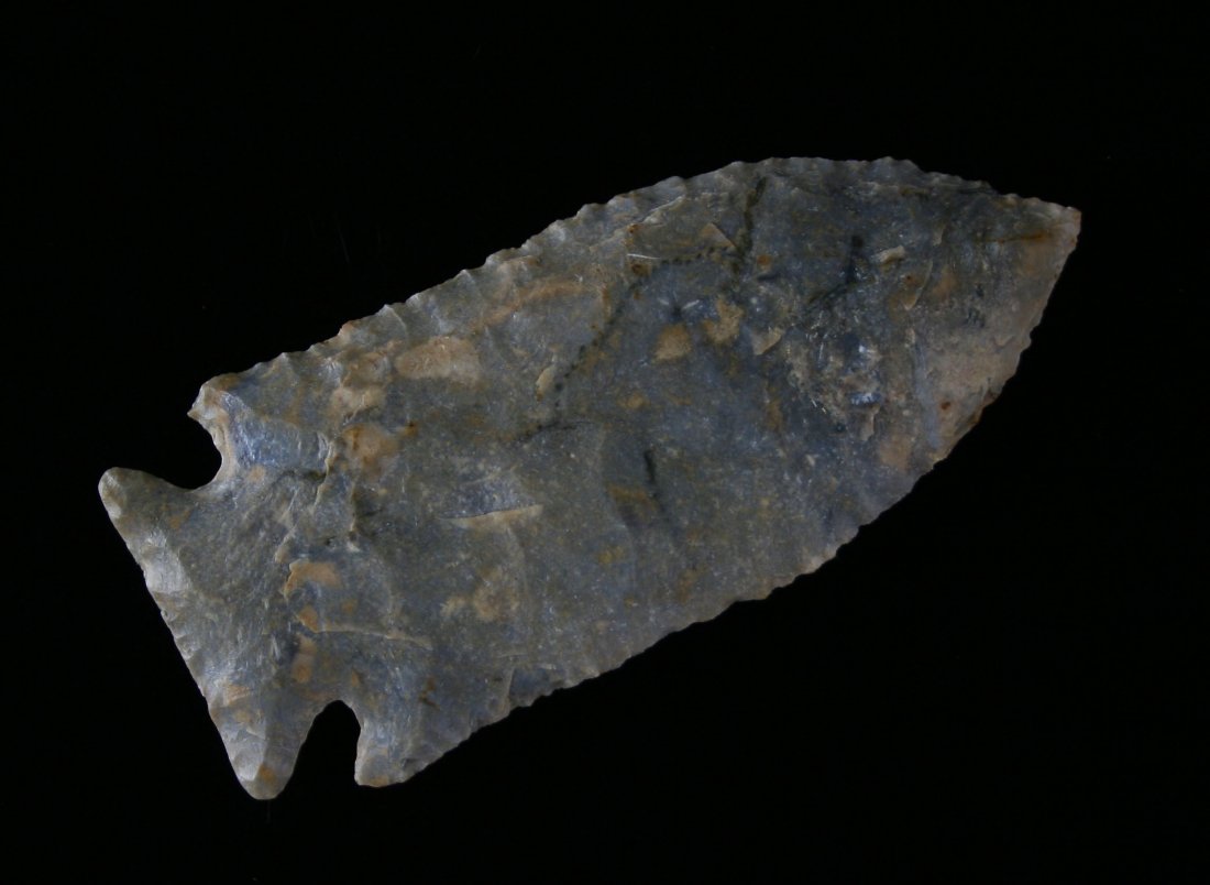 2 7/8" G-10 Stilwell: Excellent early archaic example with fine serrations from Paulding Co., Ohio. Ex - David Root (876F) and Jeff Sadofsky (S1424) Collections. Blue Fossil Chert.
