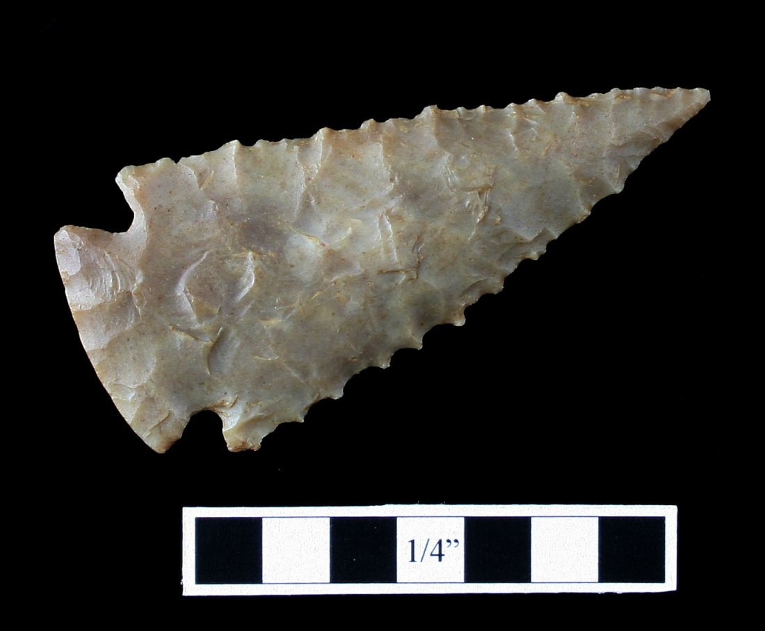 2 1/2" Killer Pinetree: Personal find of Kenneth Broughton from Carter Co., Kentucky. Carter Cave Flint!
