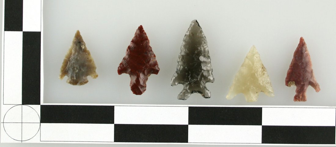 5 Nice Washington Birdpoints: All formerly of the Norma Berg Collection of Ellensberg, Washington. Agates, Jaspers, Obsidian. Longest 1 1/8".