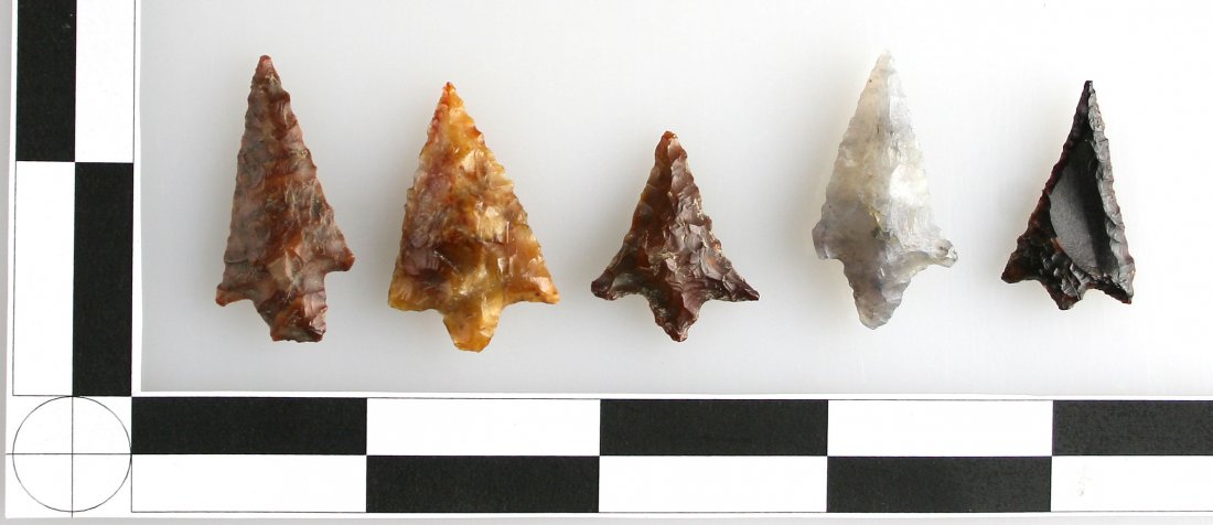 5 Washington Rabbit Islands: Nice assortment of colorful materials. Agates and Jaspers. Ex - Norma Berg Collection.