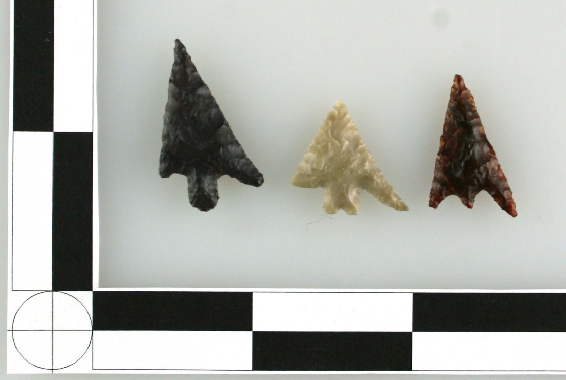 3 Columbia Plateaus: Washington cuties from the Norma Berg Collection. Longest 1 1/8".