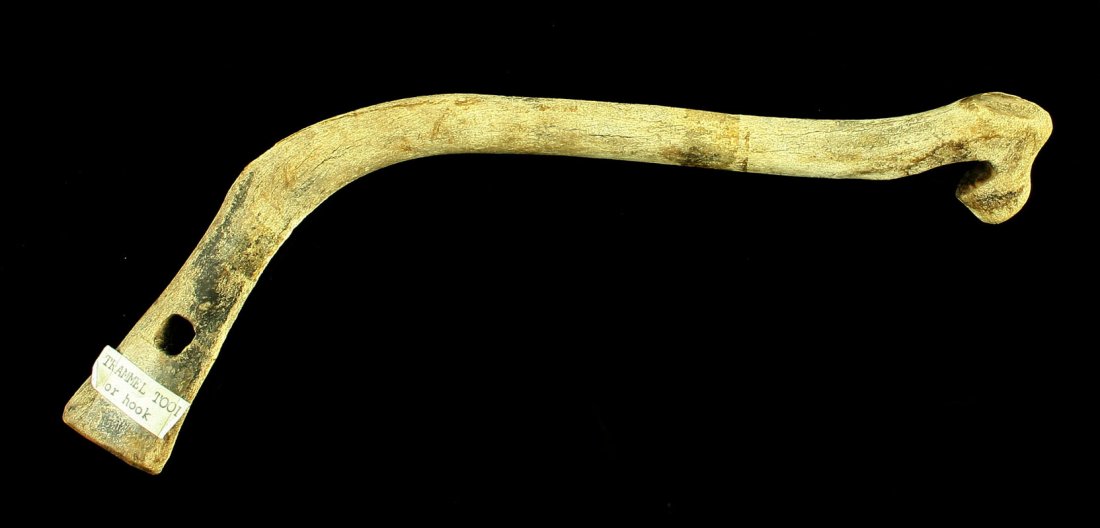 9 3/4" Alaskan Inuit Antler Hook: Nice hook for hanging cooking pot or other items, carved from antler. Rare object from the Arctic.