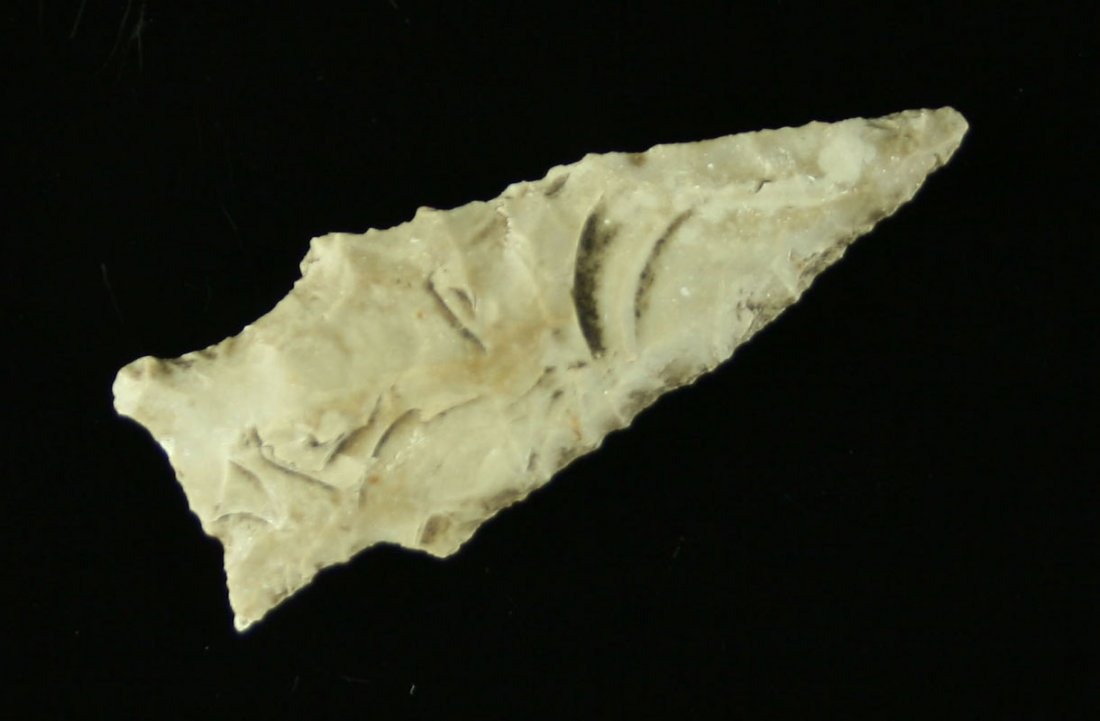 2" Texas Darl: Nice example. Classic Edwards Plateau Chert. Found by John Koehler in Central Texas in the 1940's & 50's.