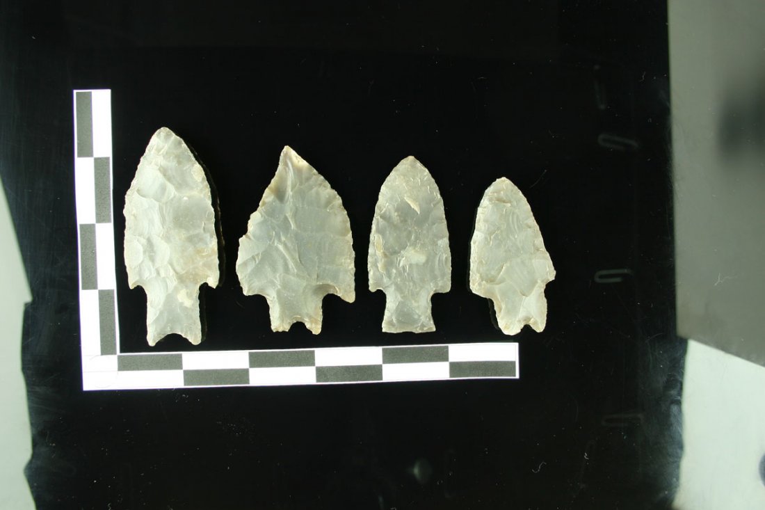 4 Really Nice Texas Rechips: Biggest meausres 3 1/4". All high grade Root Beer colored Edwards Plateau chert. All rechipped at the tips in modern times in our opinions. Not glaring but fairly apparent under the microscope. Too ba