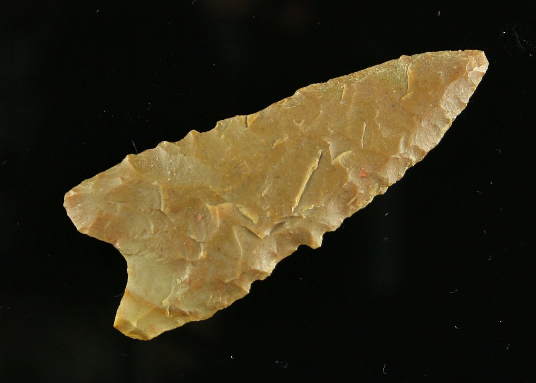 Rare 2 5/8" Carter Cave Dalton: Nice example from Kentucky. Carter Cave flint with serrations. Great mineralization!