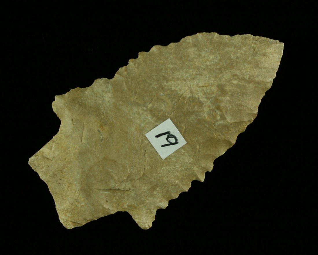 Thin 2 5/16" Kirk Serrated: Fort Payne chert example from Central Kentucky. Nice! Ex- Ford Collection.