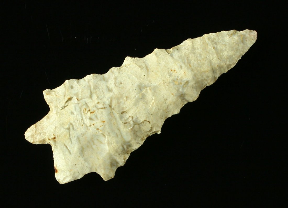 2 1/2" Fort Payne Bifurcated Kirk Serrated: Beautifully serrated example from Central Kentucky. Fort Payne Chert. Ex- Ford Collection.