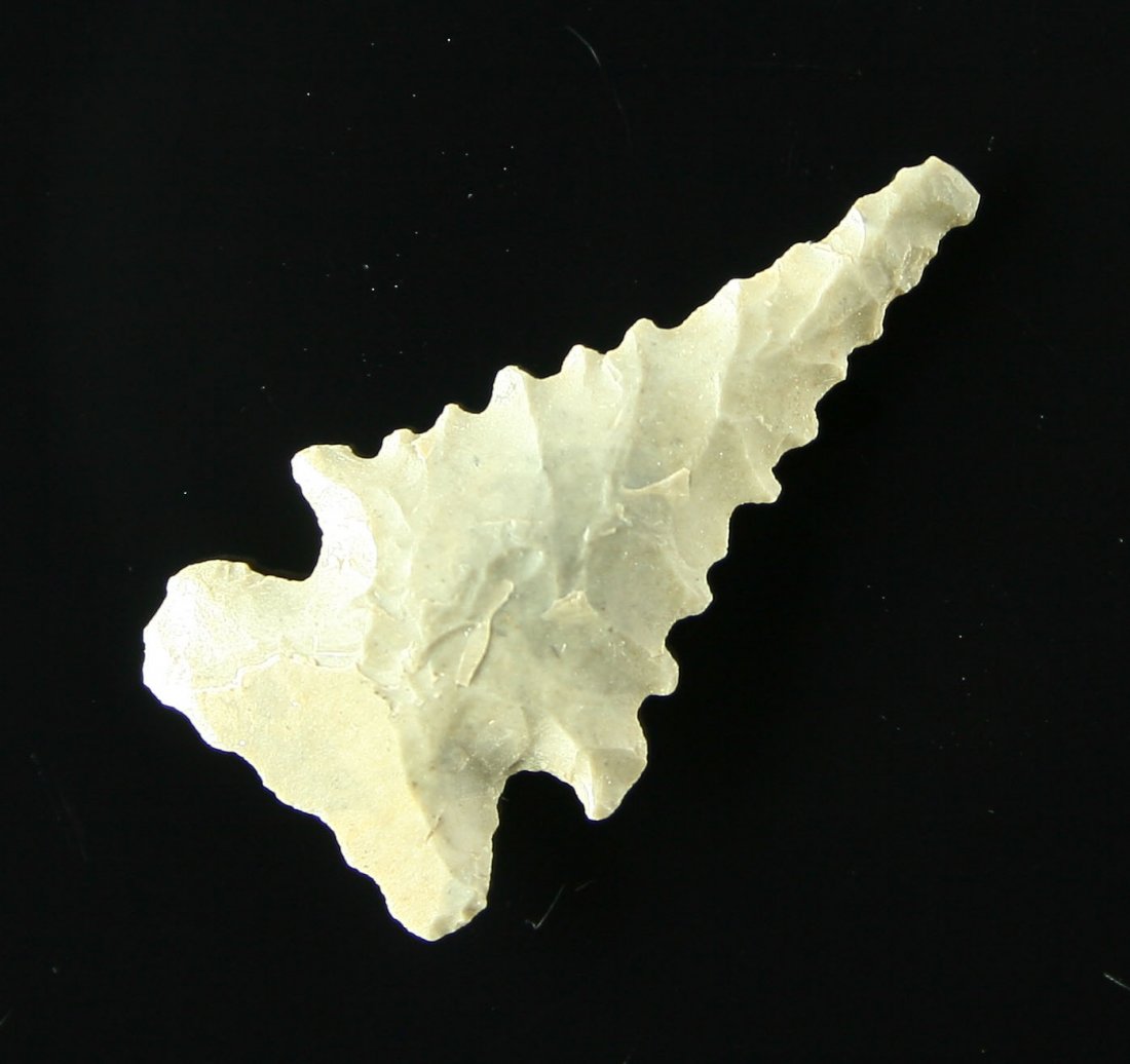 1 1/16" Spiro Mound Point: Nice serrated point from the Spiro Mound in Leflore Co., Oklahoma. Ex - Dr. Robert Bell and Karl Englander Collection.
