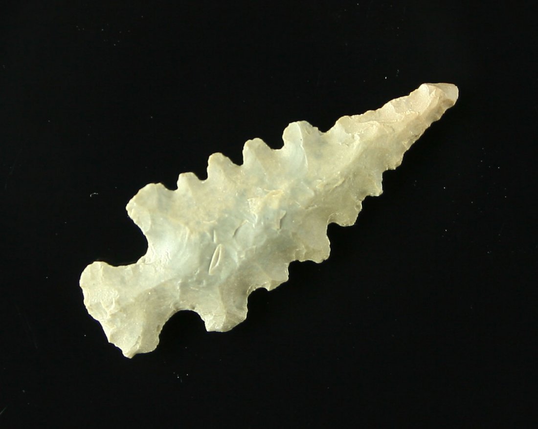 1 3/16" Spiro Mound Point: Excellent example collected by Dr. Robert Bell and Karl Englander from Spiro Mound in Leflore Co., Oklahoma. Awesome serrations!